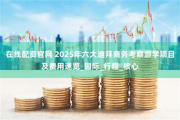 在线配资官网 2025年六大迪拜商务考察游学项目及费用速览_国际_行程_核心